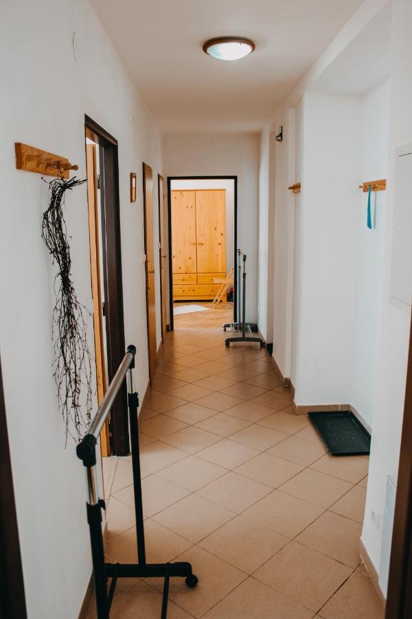 Apartament Apartman Rokytnice Nad Jizerou Zewnętrze zdjęcie
